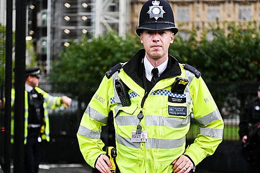 Mirror: в Британии 870 сексуальных маньяков избежали наказания после извинений