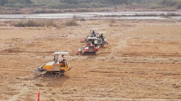Наравне с сельхозработниками в полях Поднебесной трудятся квадрокоптеры